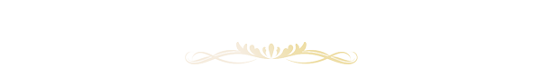 応援プラン
