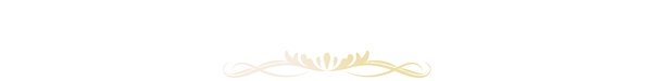 数量限定プラン