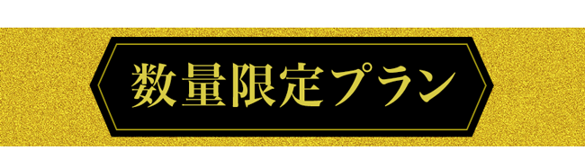 数量限定プラン
