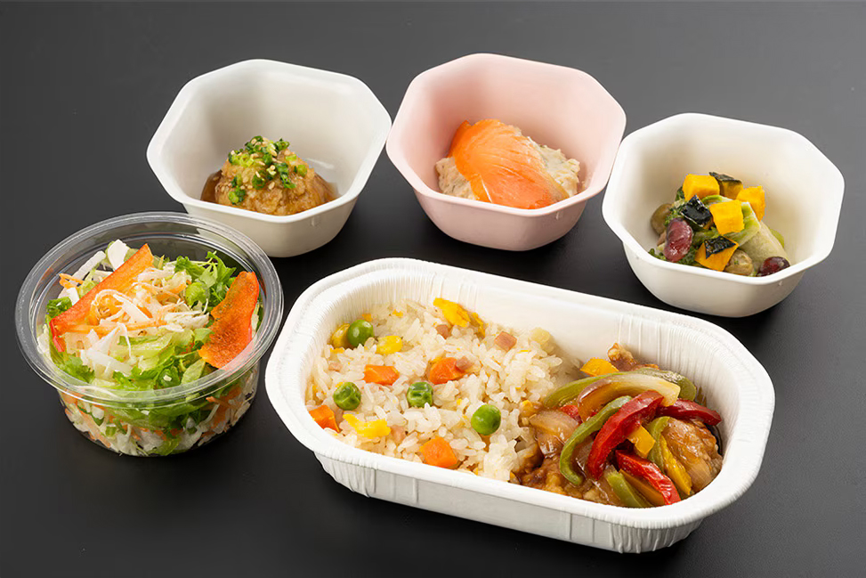 鶏の黒酢ソース 五目炒飯風ごはん